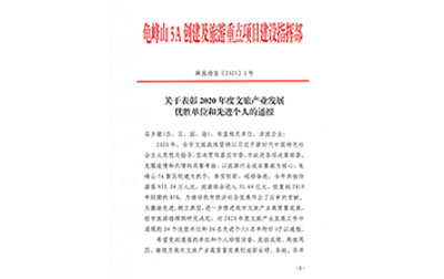 麻城市2020年度文旅優(yōu)勝單位和先進(jìn)個(gè)人表彰