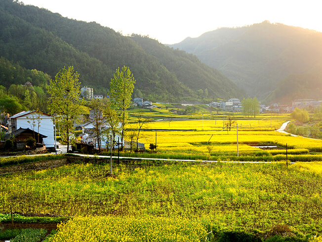 麻城市古孝感鄉(xiāng)都旅游開(kāi)發(fā)投資有限公司